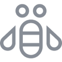 IBM India